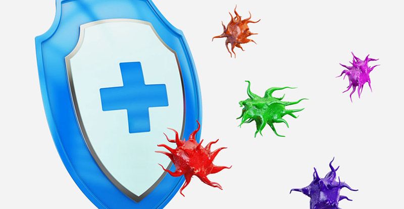 immunerősítő étel